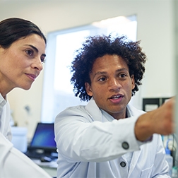 Accessible reporting suite