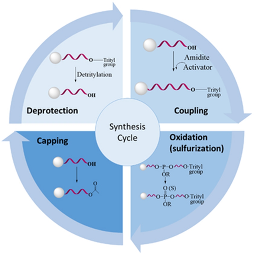 Challenges in synthetic oligonucleotide production blog in-content image
