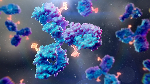 Antibody drug conjugates: a novel approach and evaluation of efficacy and potency