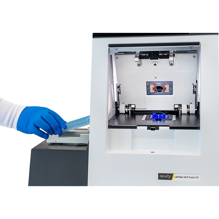 Adding samples to the LabChip GXII Touch Protein Characterization System