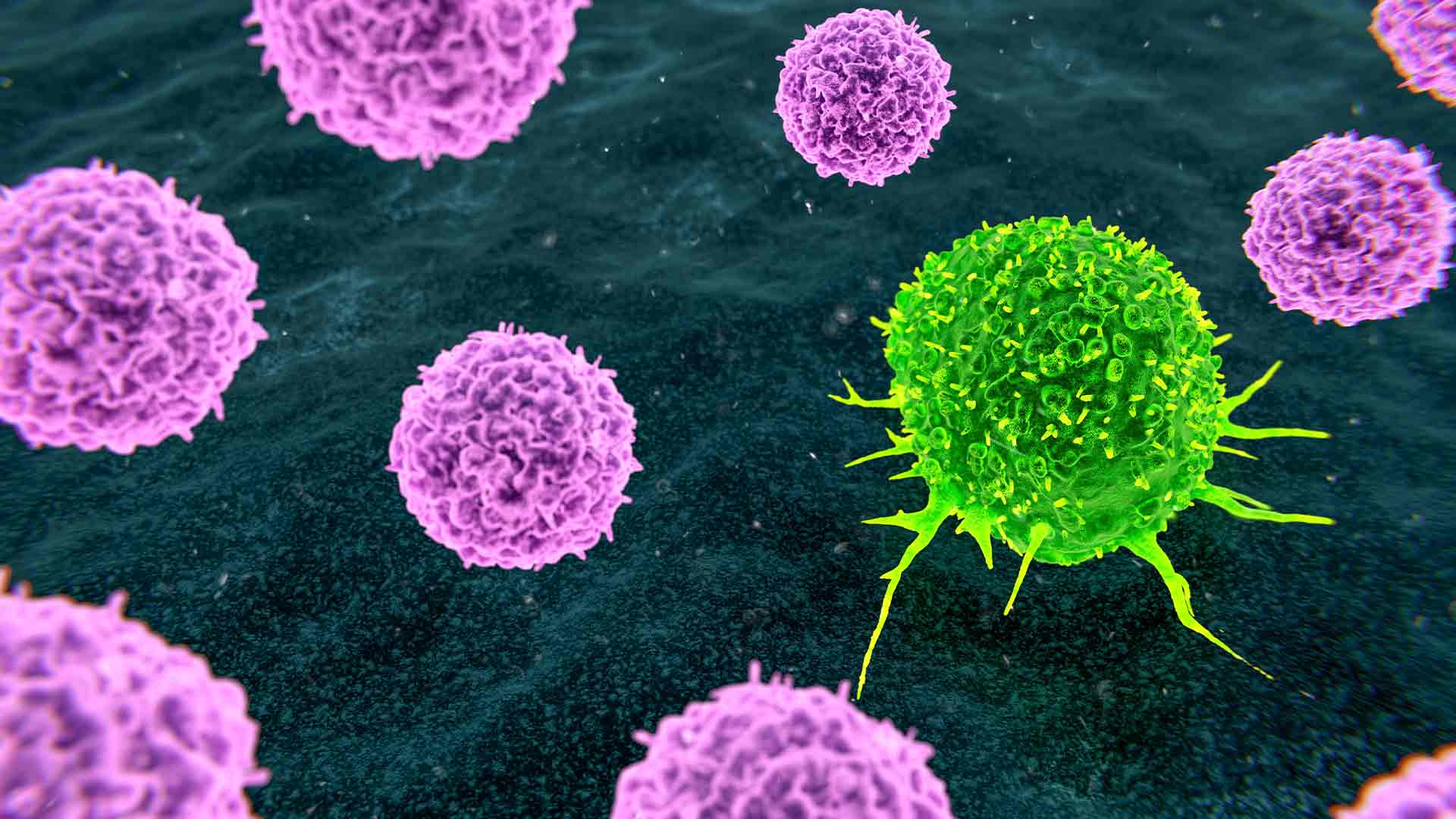 Addressing technical barriers in primary T cell research