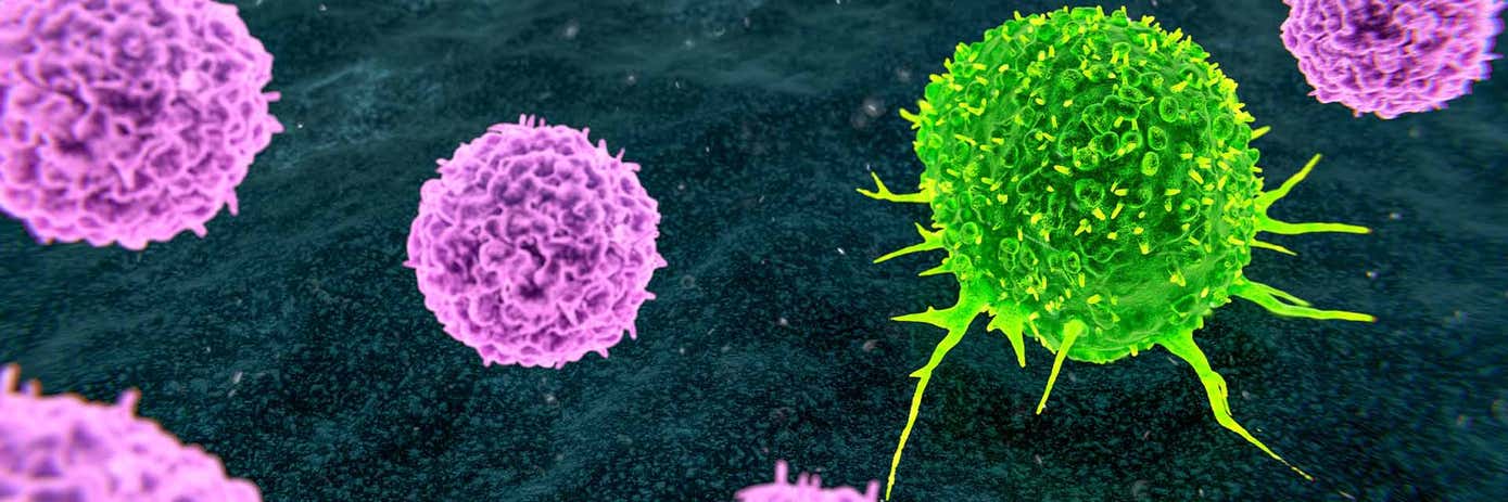 Addressing technical barriers in primary T cell research