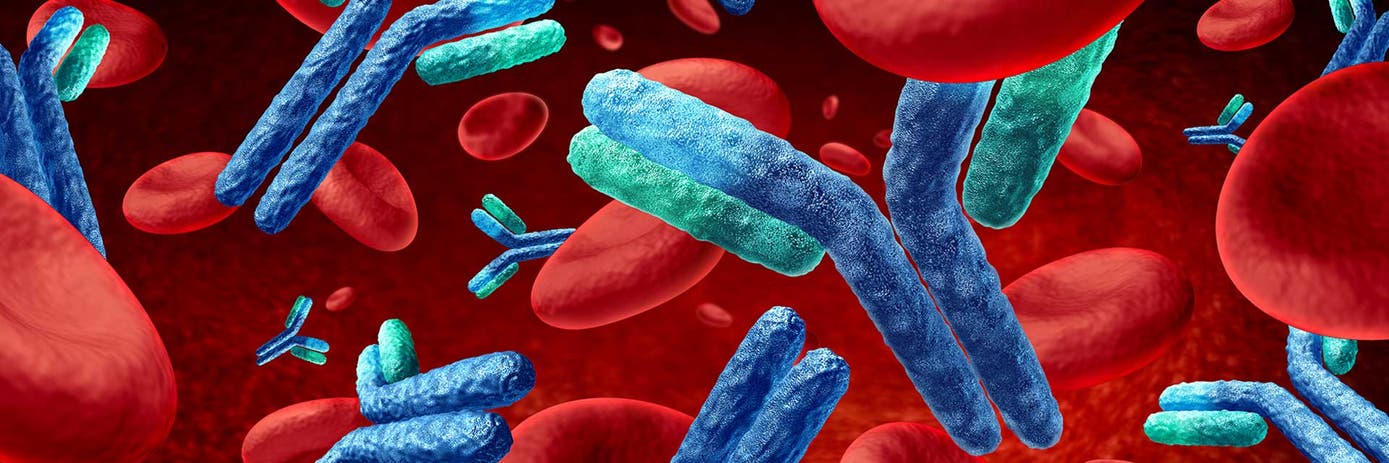 adopting no-wash hero