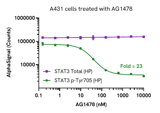 STAT3 Phospho (HP) assay validation - Inhibitor