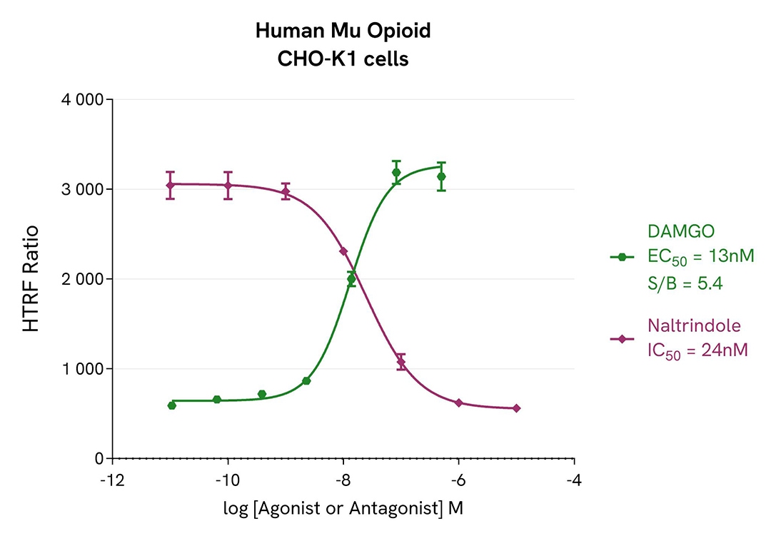 agonist/antagonist dose response curves in CHO-K1 cells
