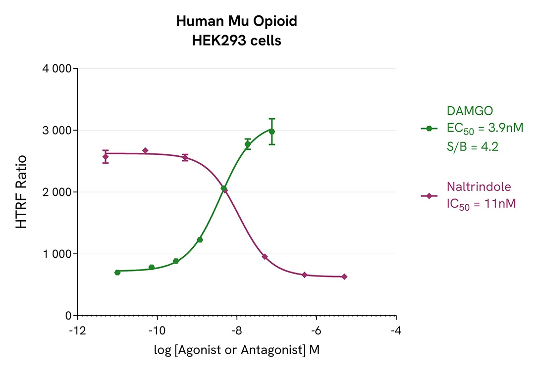agonist/antagonist dose response curves in HEK293 cells