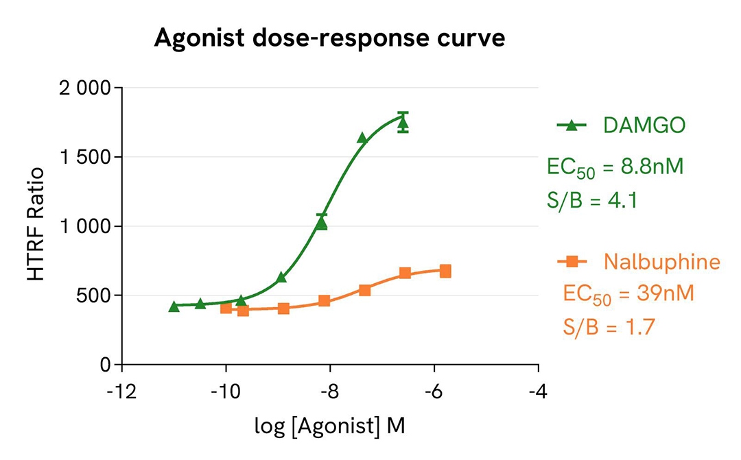 agonist dose response curve