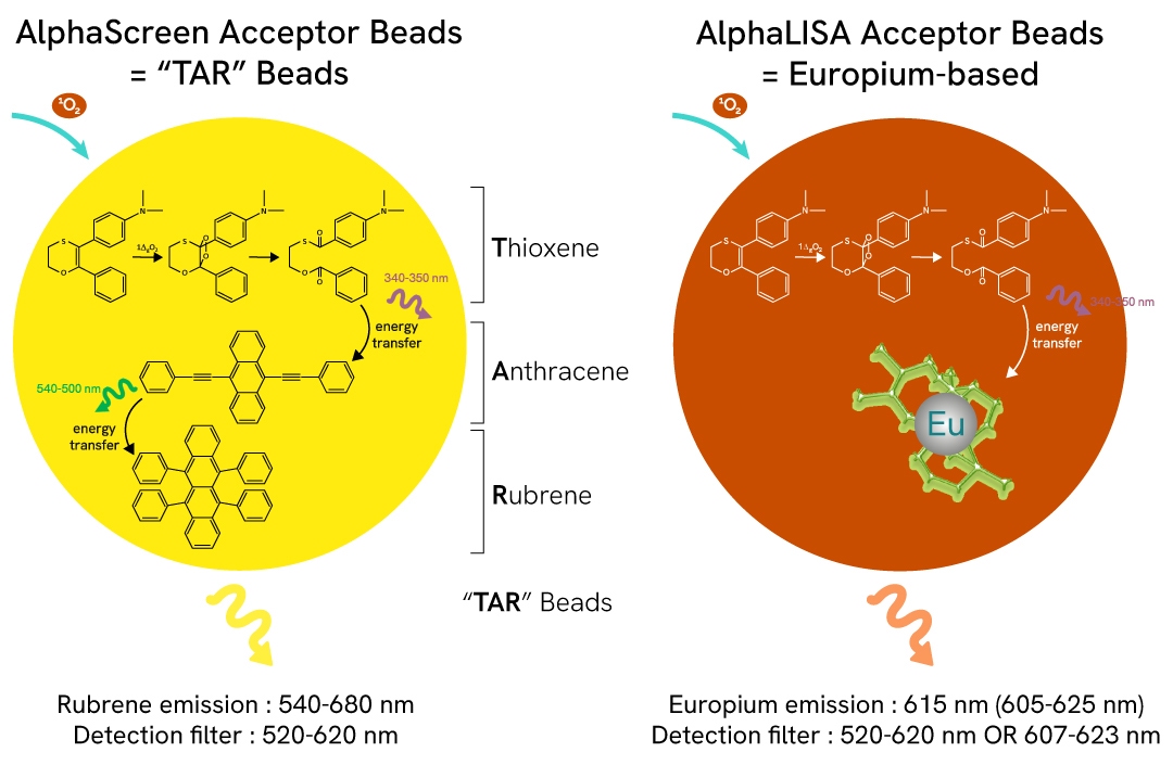 alphalisa and alphascreen no wash assays fig2