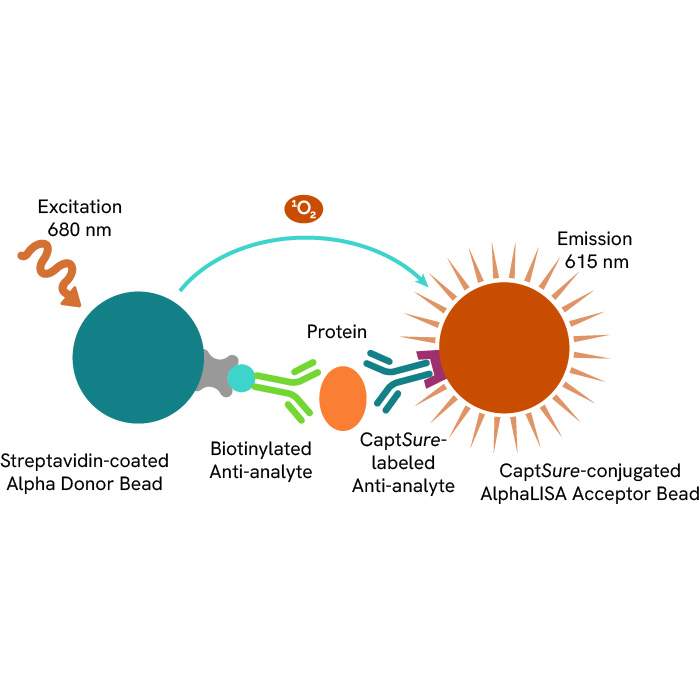 AlphaLISA SureFire Ultra Human Total IR-β (Insulin Receptor β