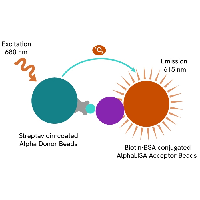 Revvity Kit AlphaLISA TruHits Kit, 10,000 Assay Points | Revvity