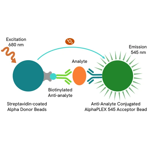 AlphaPlex Sandwich anti-analyte conjugate acceptor bead