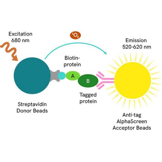 market for glutathione beads Can be used for purification in single tubes or for high throughput in 96 AlphaScreen GST Detection Kit, 500