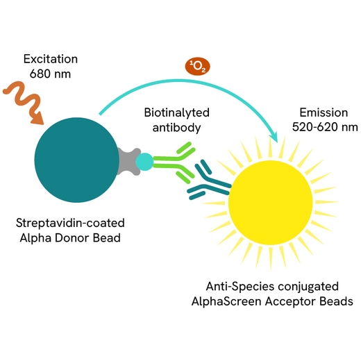 AlphaScreen IgG (Protein A)