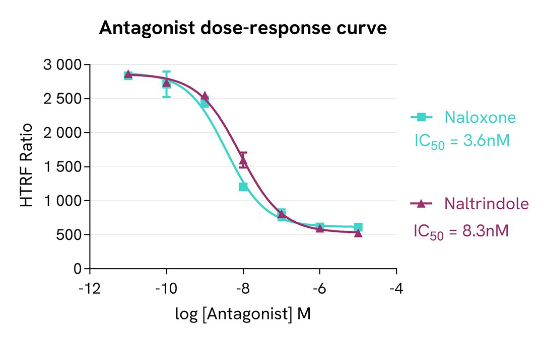 antagonist dose response curve
