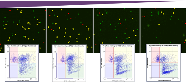 Antibody Concentration