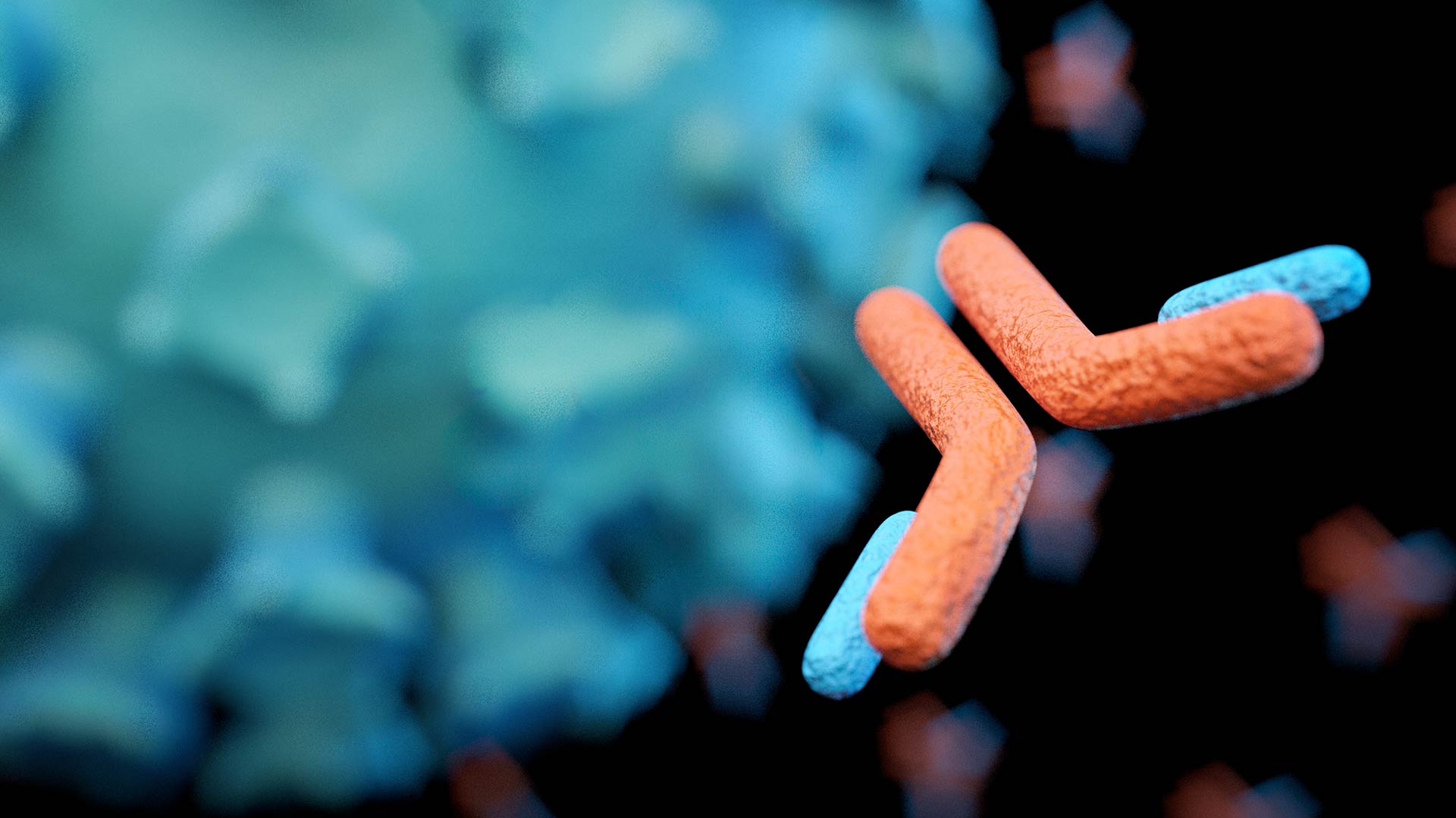 antibody validation thumbnail