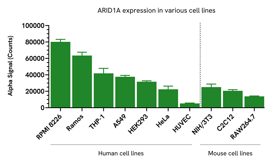 Versatility of Total ARID1A assay in various cell lines