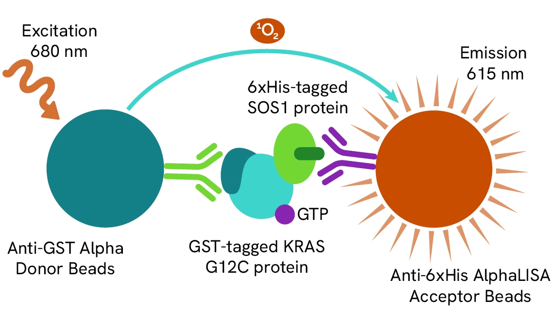 Validation of Alpha Anti-GST Donor Beads in a protein-protein interaction detection