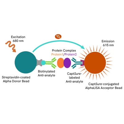 Principle of the protein complex detection AlphaLISA SureFire Ultra assay