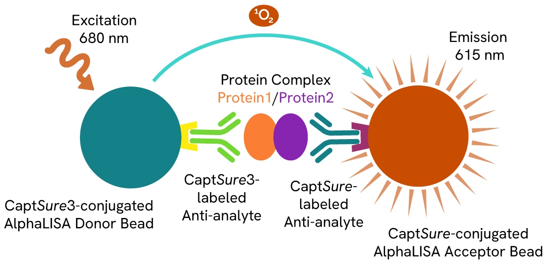Complex detection AlphaLISA SureFire Ultra Biotin Free assay principle