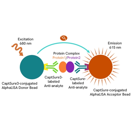 Principle of the protein complex detection AlphaLISA SureFire Biotin Free assay