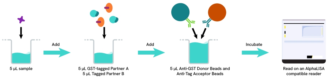 Assay protocol of the Alpha Anti-GST Donor Beads detection