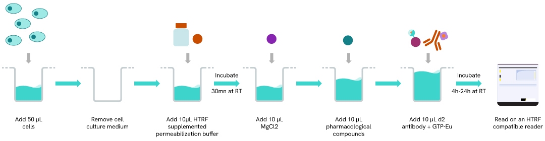 assay protocol GTP Gi protein binding kit