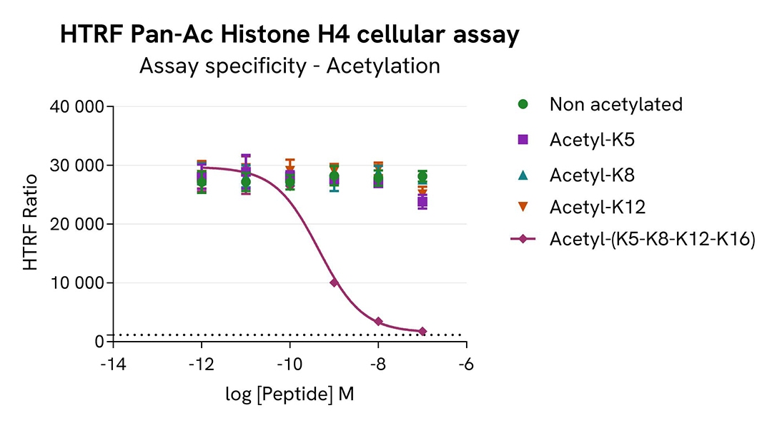 assay specificity acetylation HeLa Pan Acetyl H4