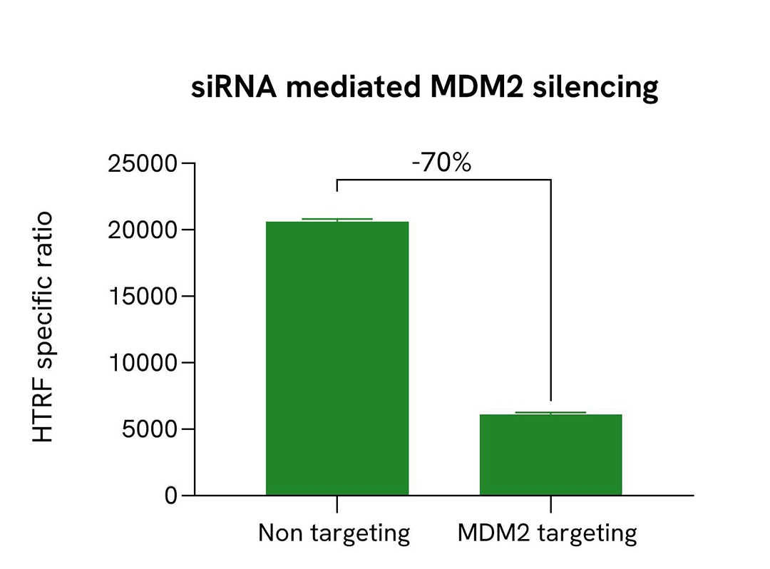 Selectivity of Total MDM2 assay using siRNA