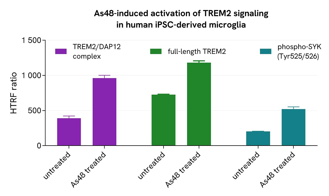 TREM2/DAP12 induction by As48 activator in microglia differentiated from human iPSCs