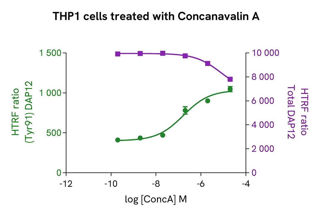 assay validation activator ConcanavalinA DAP12-phospho-Y91