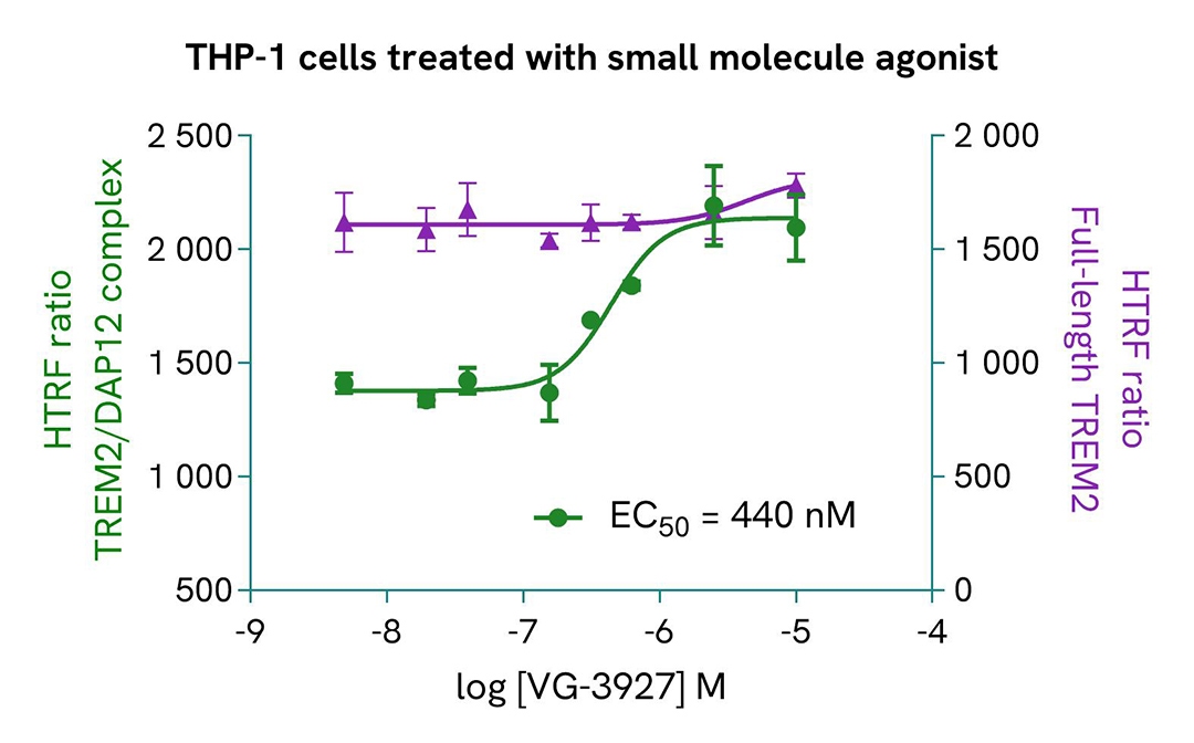 TREM2/DAP12 Complex induction by VG-3927 in THP-1 cells