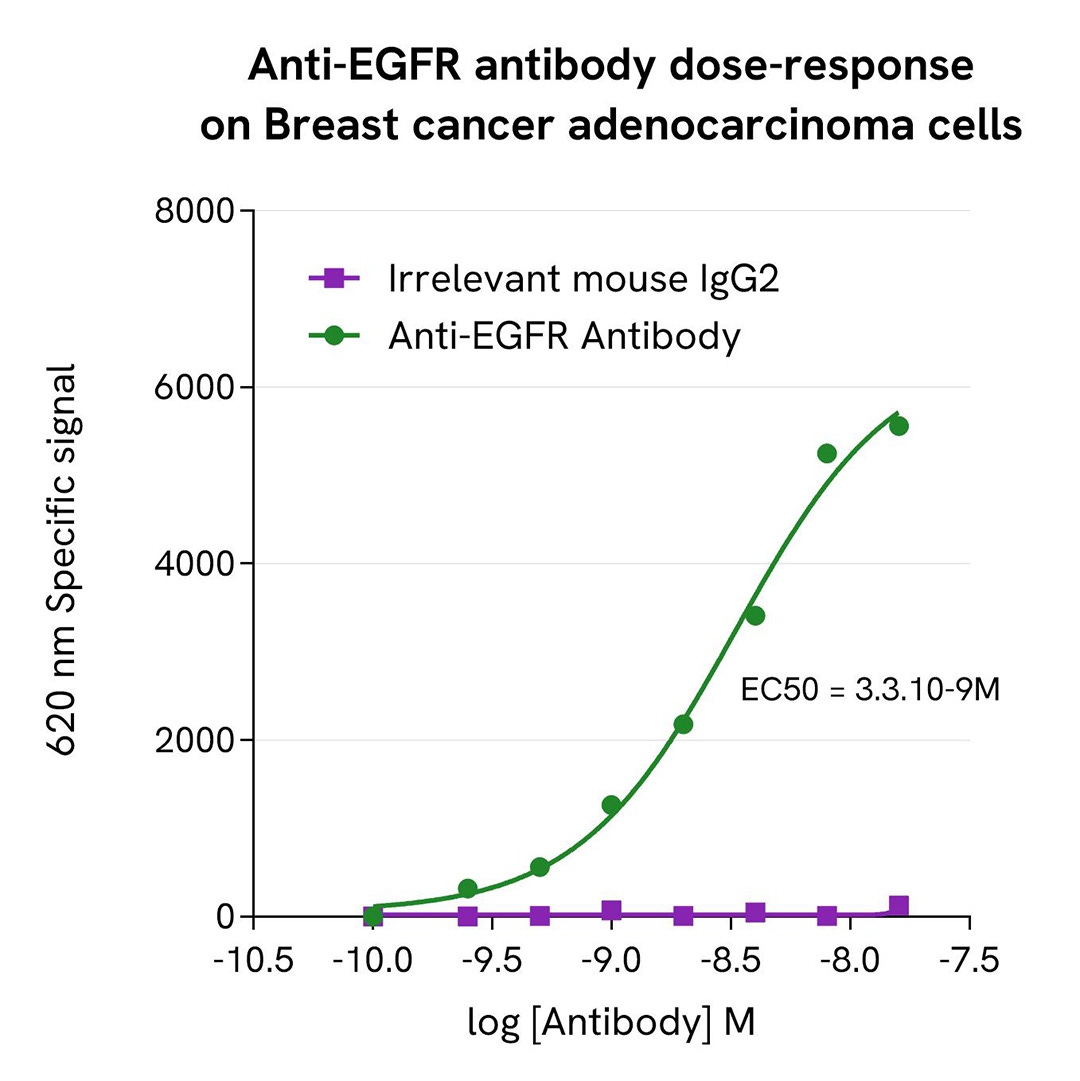 assay validation activator Eu Fab anti-Mouse IgG2 anti-EGF dose response