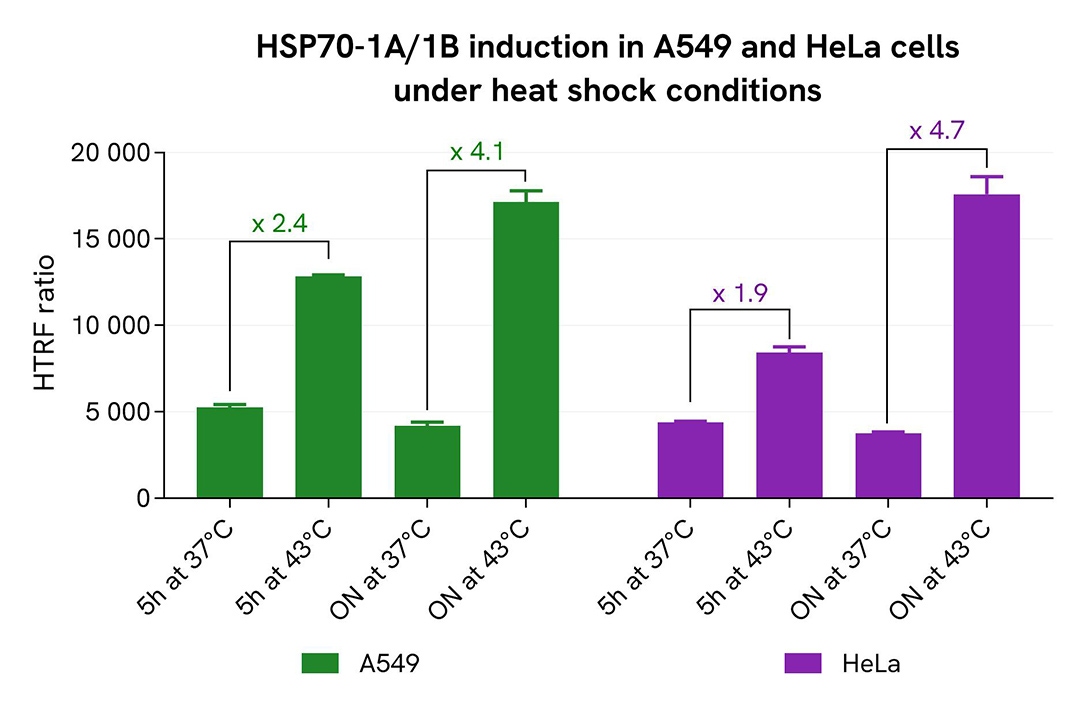assay validation activator heat HSP70-1A/1B total