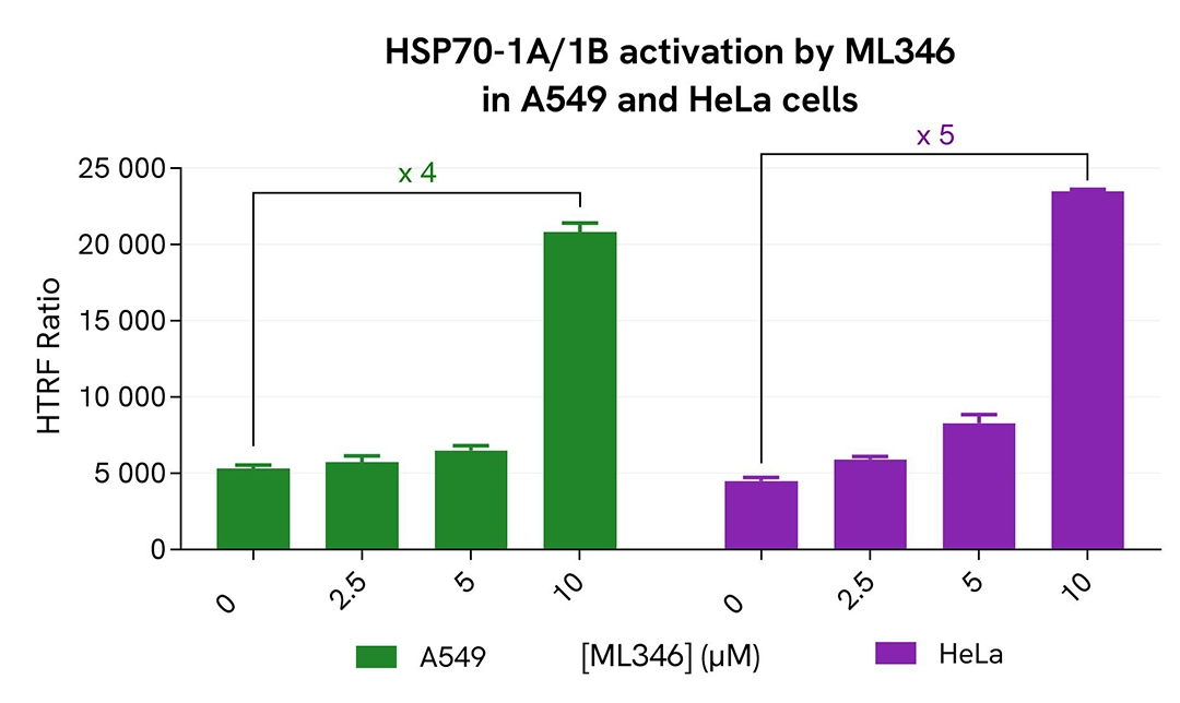 assay validation activator ML346 HSP70 1A/1B total