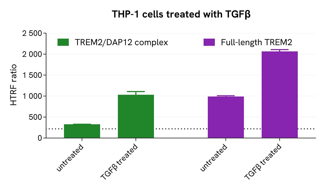 TREM2/DAP12 Complex  induction by TGFβ  in THP-1 cells