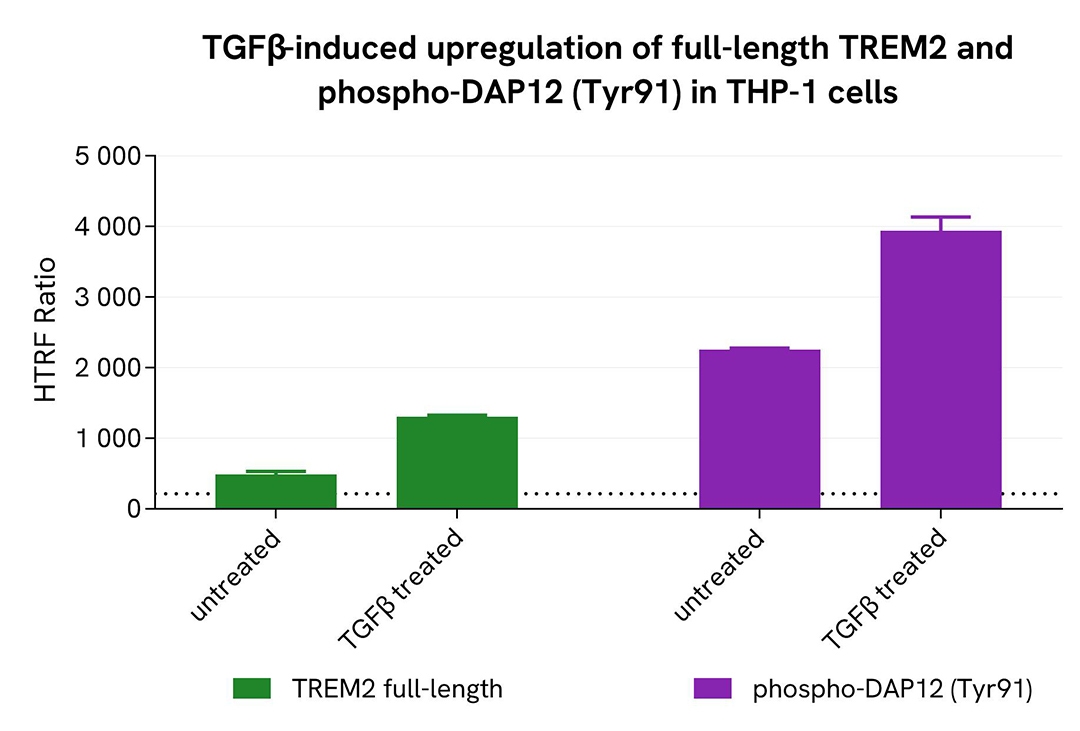 assay validation activator TGFβ TREM2 Full Length
