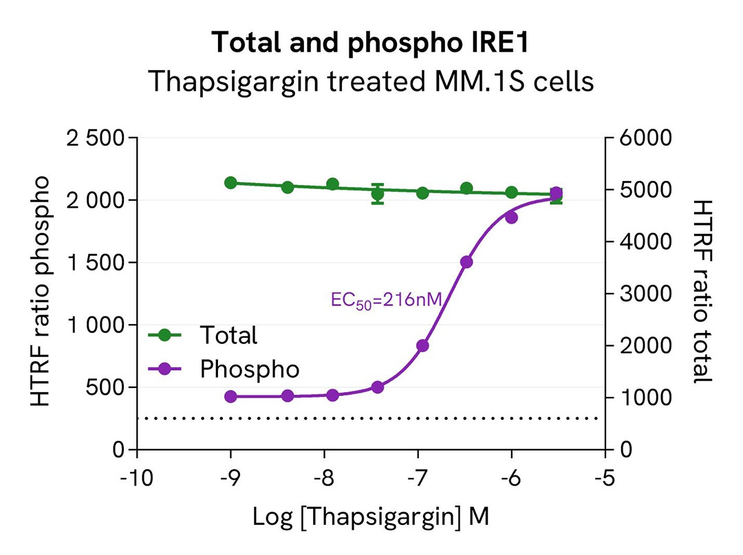assay validation activator Thapsigargin IRE1 Phospho-S724