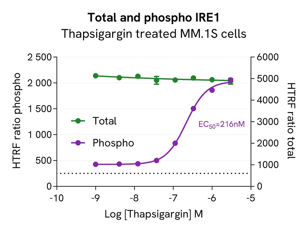 assay validation activator Thapsigargin IRE1 total
