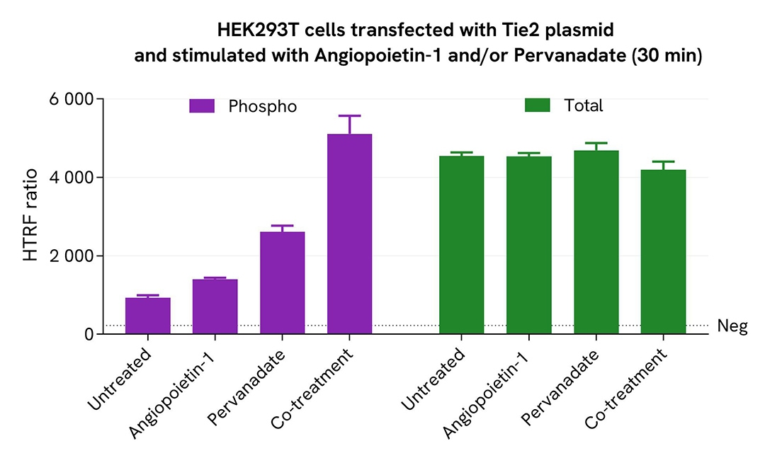 assay validation activator TIE2 total