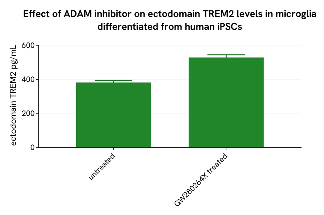 assay validation ADAM inhibitor human iPSc soluble TREM2