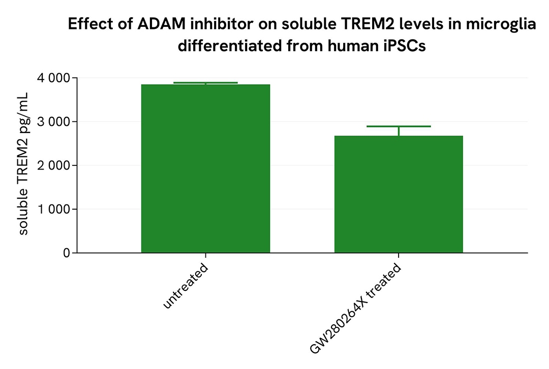 assay validation ADAM inhibitor human iPSc soluble TREM2
