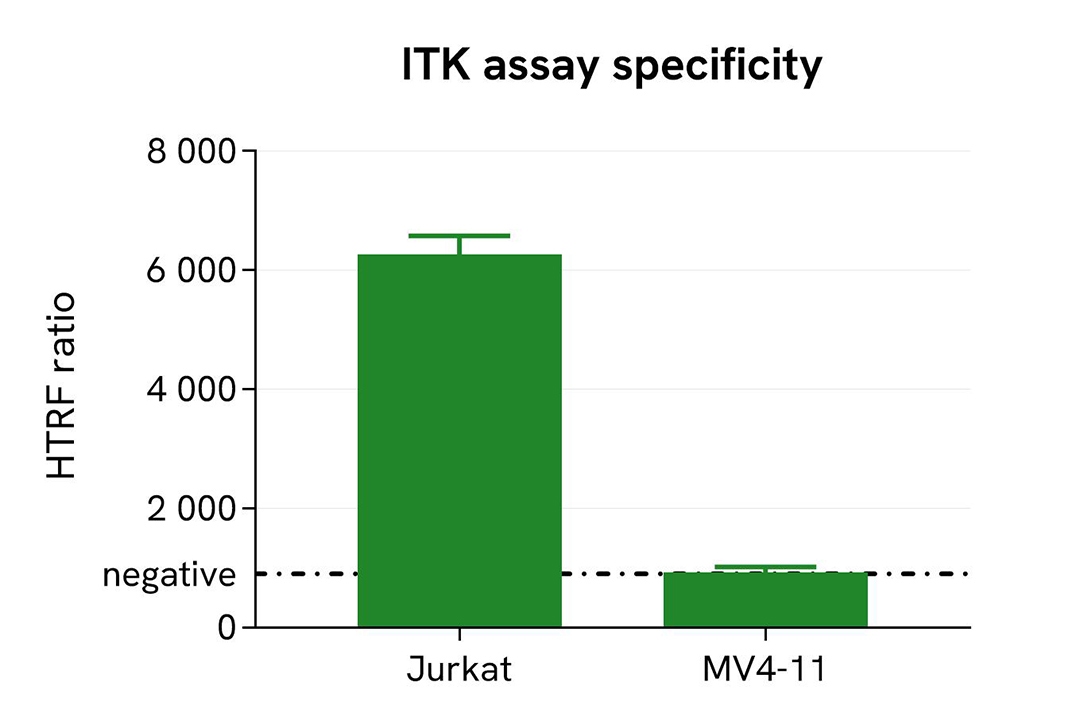 Assay selectivity in Jurkat and MV4-11 cells