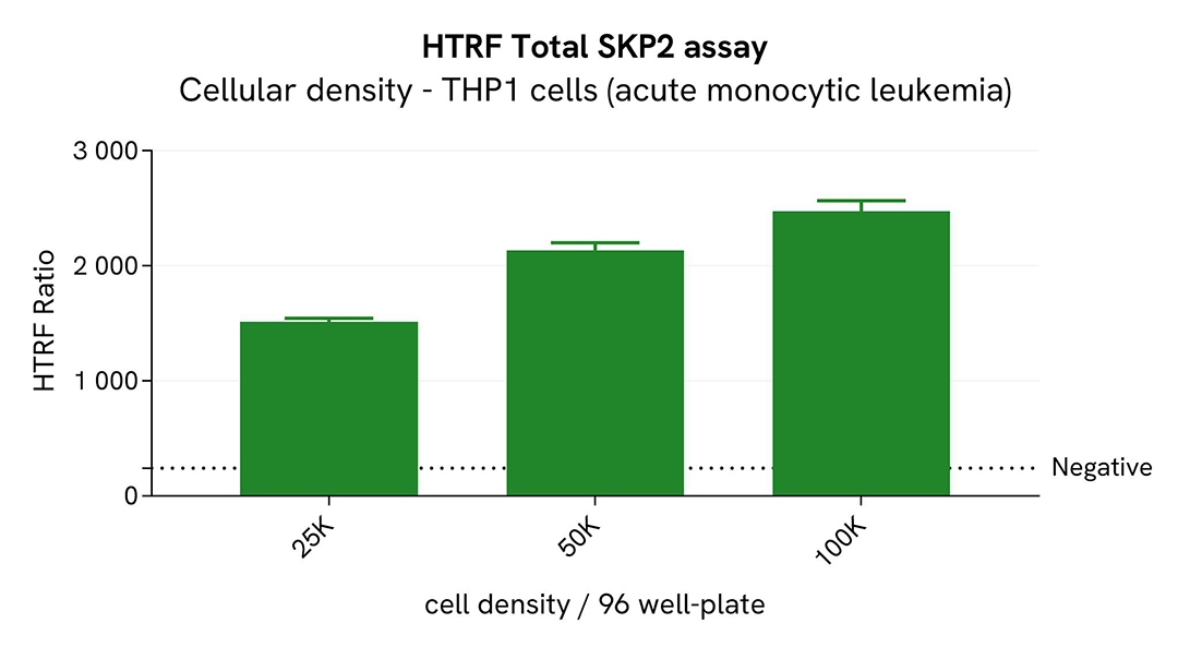 assay validation cellular density THP1 SKP2 total