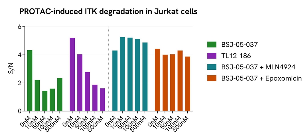 PROTAC treatment on Jurkat cells