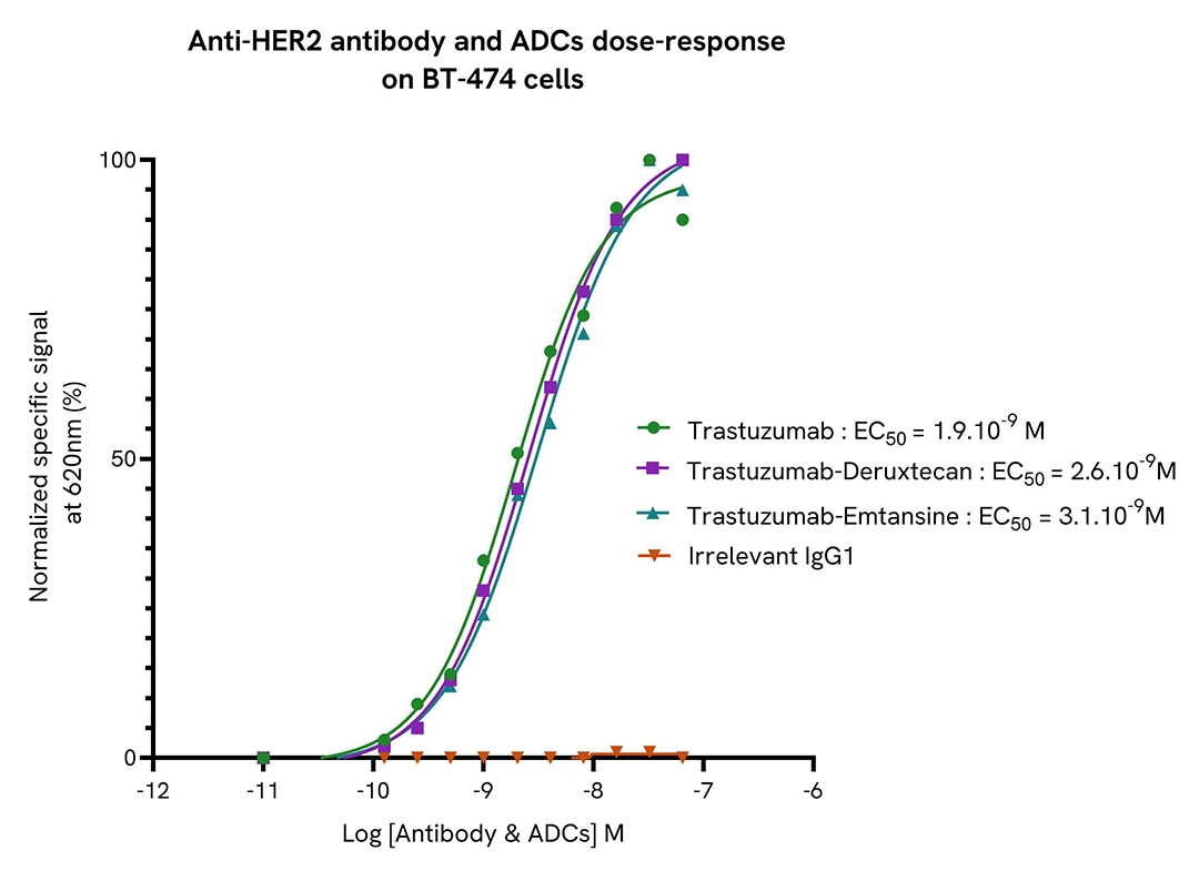 assay validation Eu Fab anti-Human IgG activator Internalizing antibody ADC