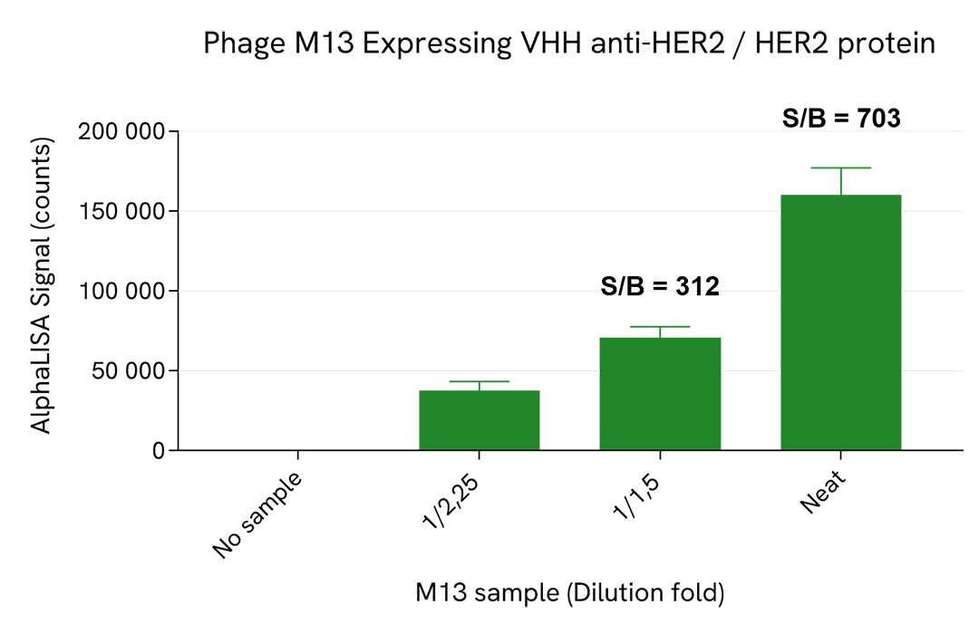 Detection of Phage M13 Expressing VHH