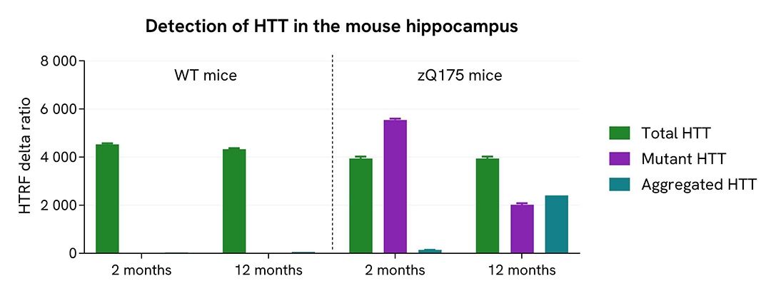 assay validation HTT aggregation brain tissue analysis
