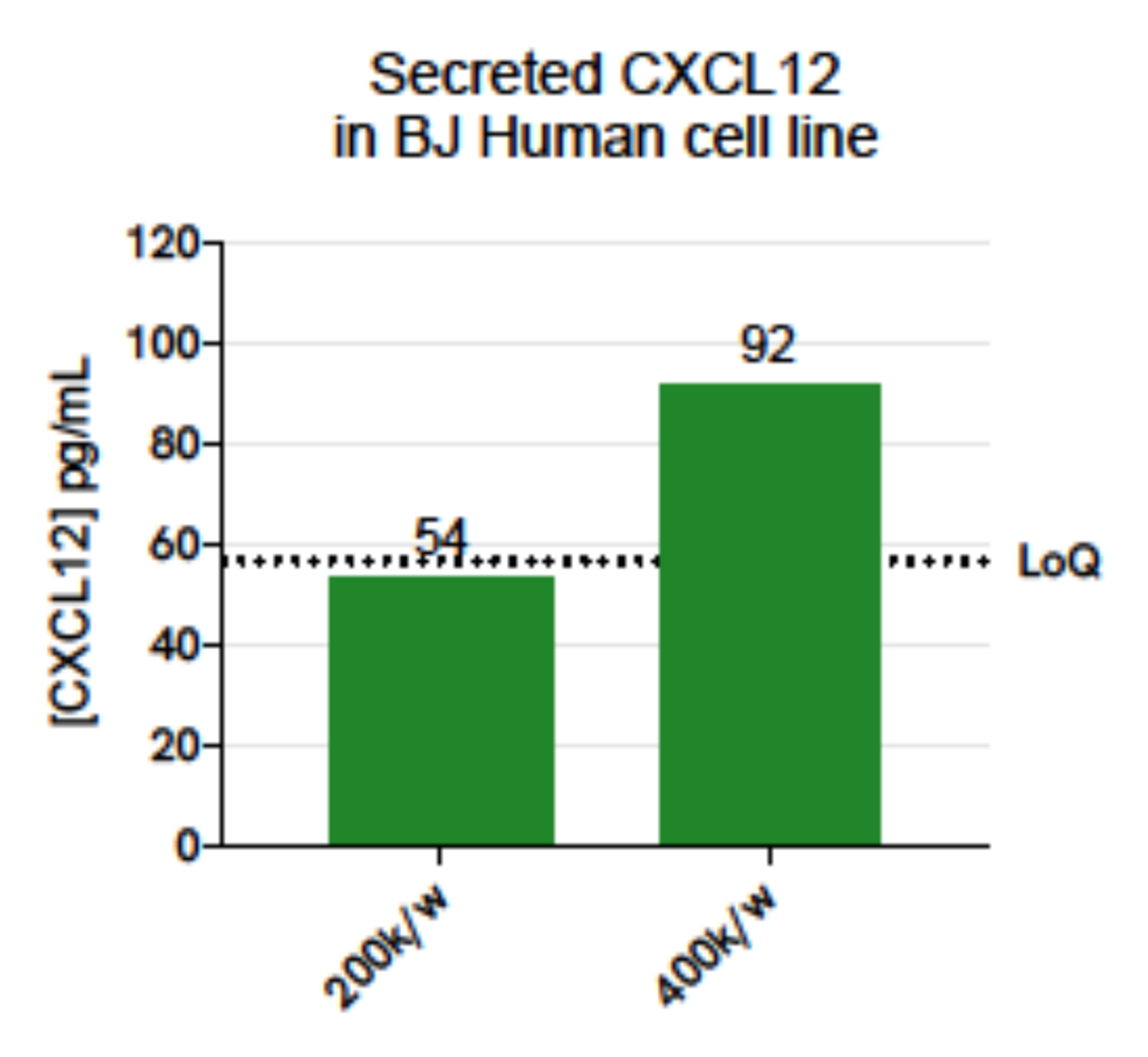 Human CXCL12 detection on human cell supernatants
