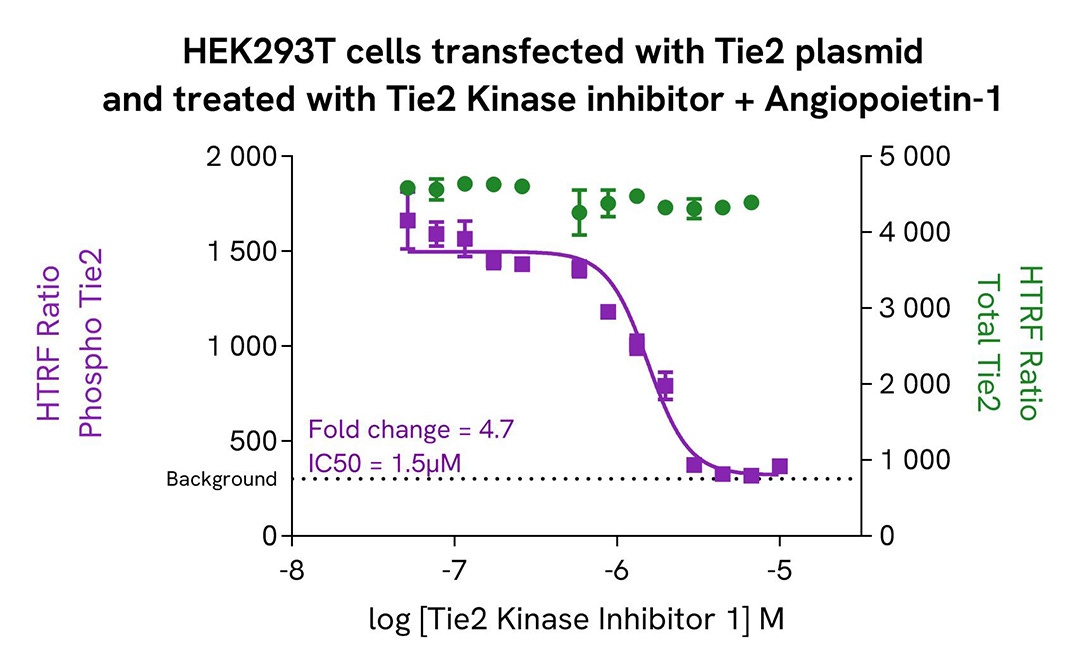 assay validation inhibitor HEK293T TIE2 phospho-Y992